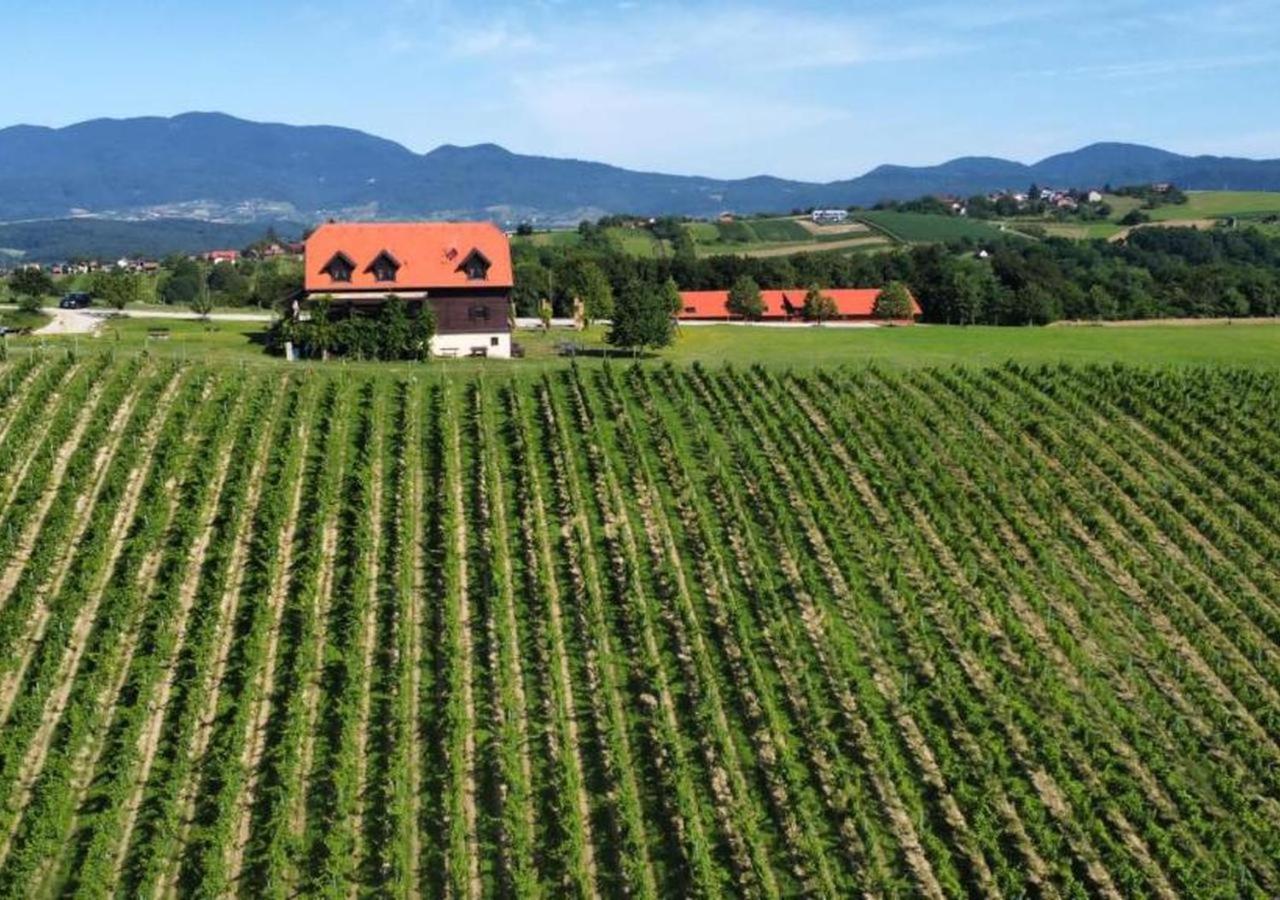 Rooms Bolfan Vinski Vrh Hrašćina Buitenkant foto